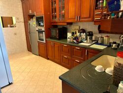 Lorong G Telok Kurau (D15), Semi-Detached #458377551